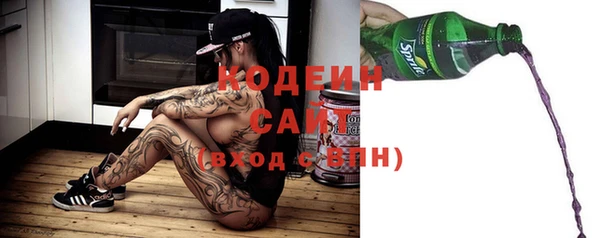 молекула духа Осташков