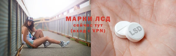 молекула духа Осташков